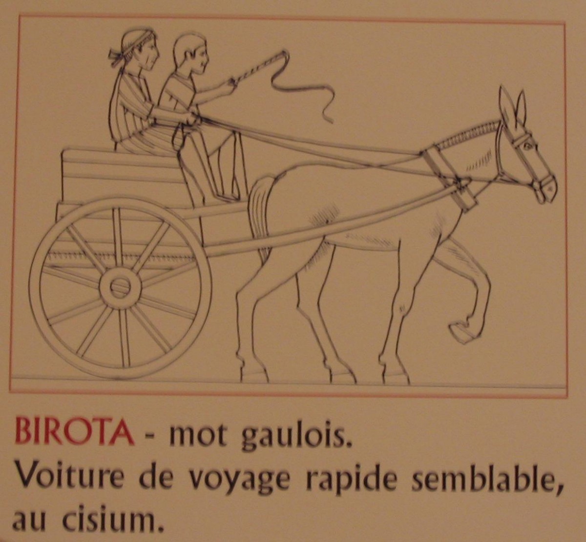 schema birota.jpg
